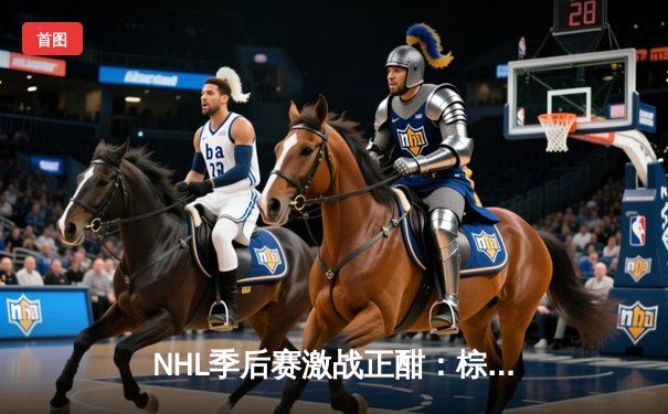 NHL季后赛激战正酣：棕熊队加时绝杀闪电队，系列赛战成2-2平