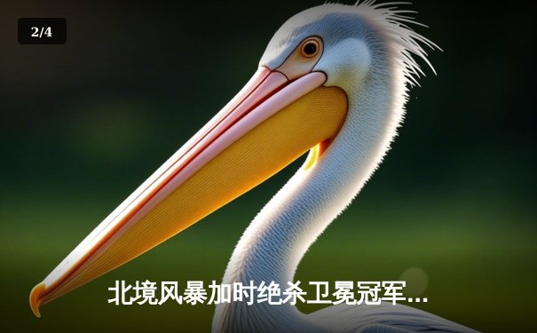 北境风暴加时绝杀卫冕冠军，新星张浩独砍三分为球队锁定胜局 - 2