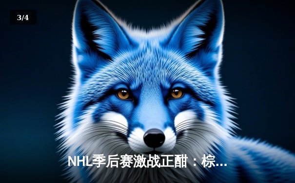 NHL季后赛激战正酣：棕熊加时绝杀闪电，塔瓦雷斯独中两元率队逆转 - 3
